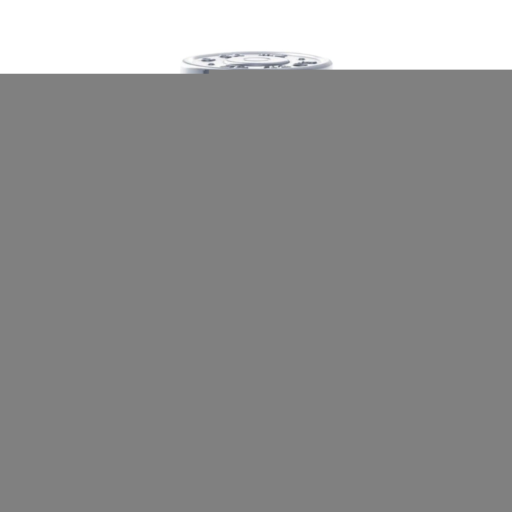 Champion 90ml Eau de Toilette