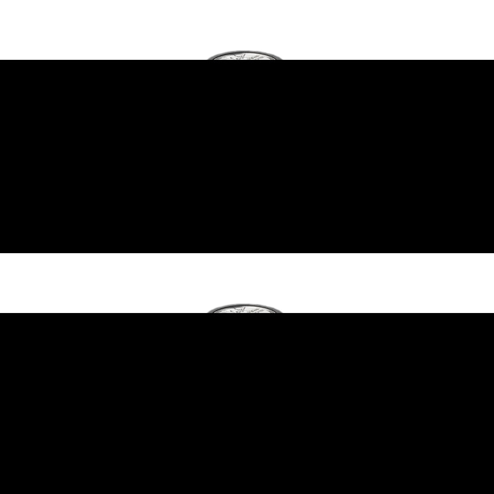 Floral Bronze 100ml Eau de Parfum