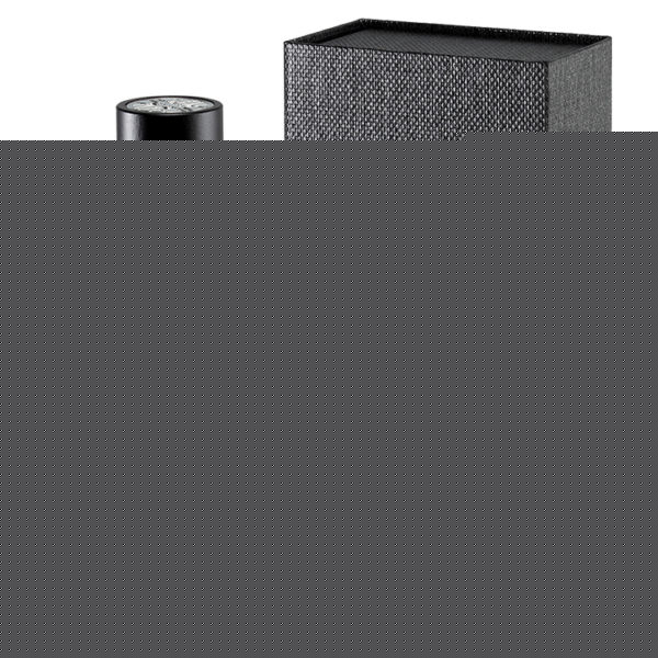 Spicy Electrum 100ml Eau de Parfum