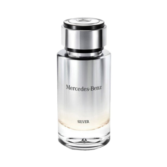 Silver 100ml Eau de Toilette