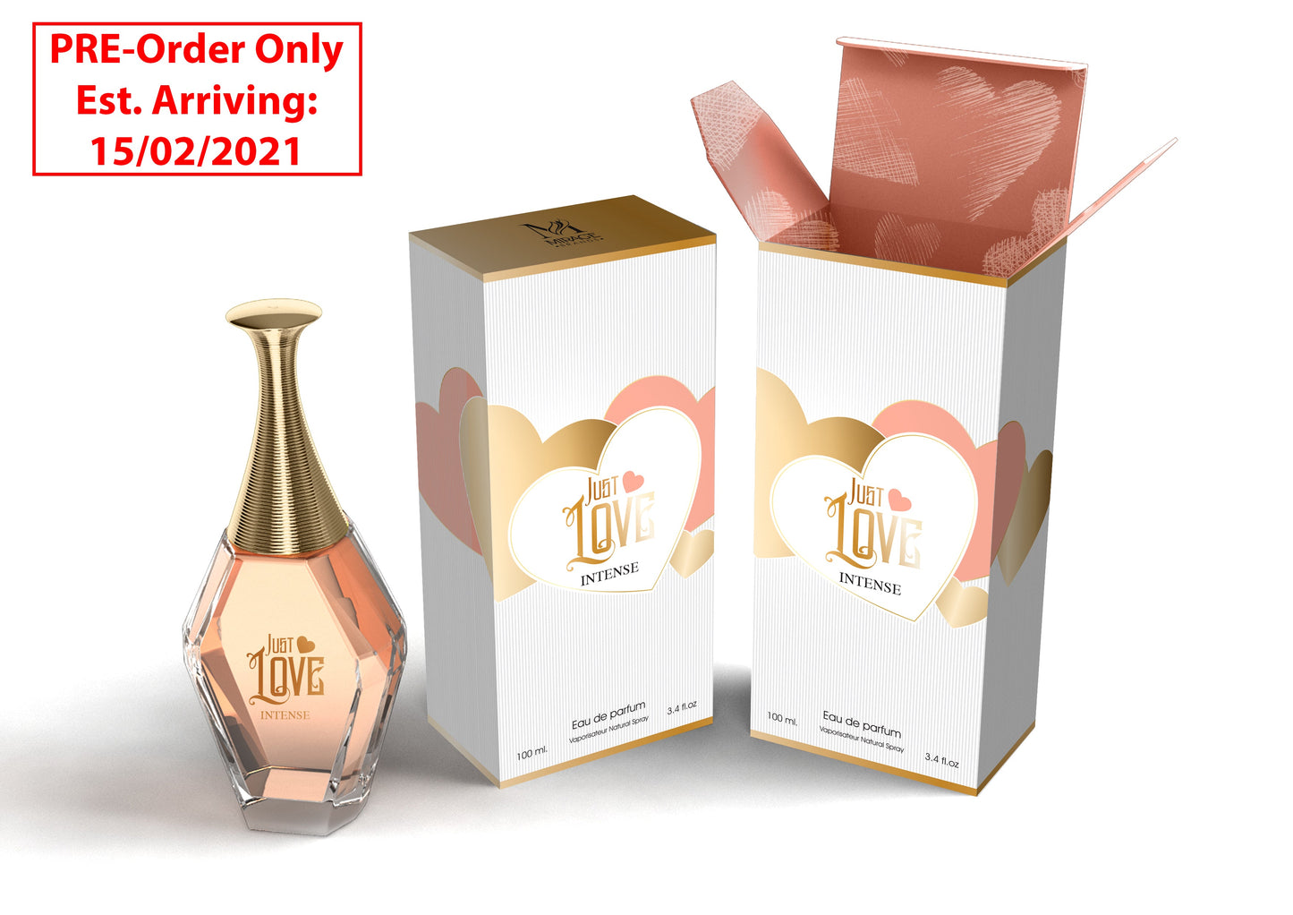 Just Love Ints 100ml Eau de Parfum by Mirage Brands for Women (Bottle)