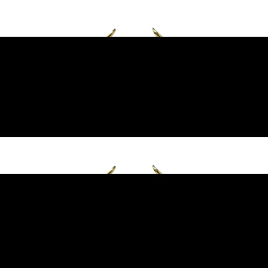 Viking Rio 100ml Eau De Parfum