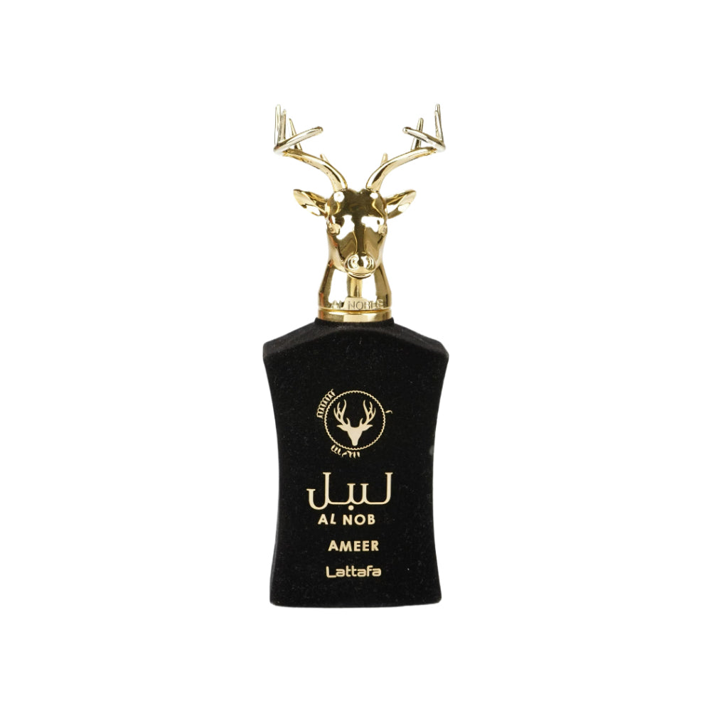 Ameer 100ml Eau De Parfum