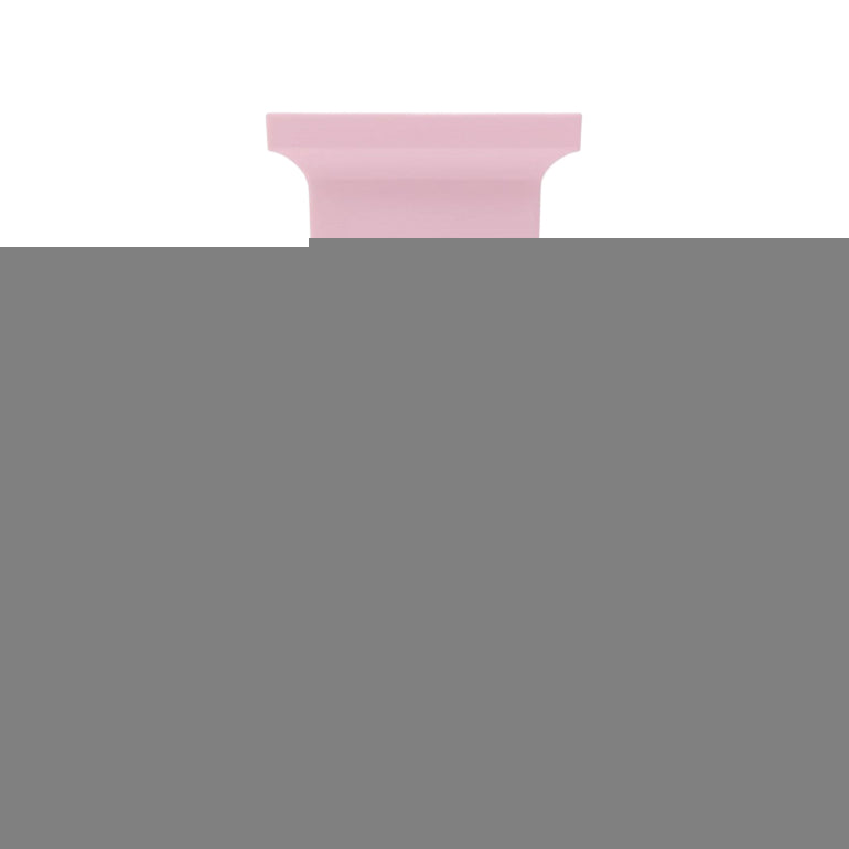 Rose Prick 100ml Eau de Parfum