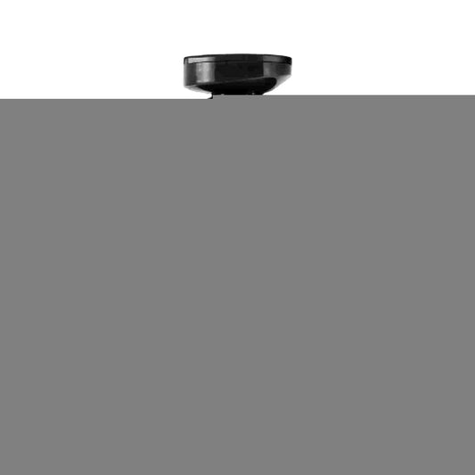 Police Amber Gold Woman 100ml Eau De Toilette