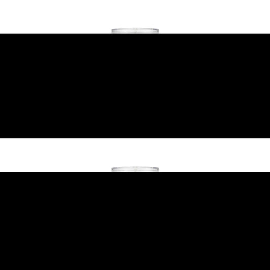 Reb'l Fleur (Body Mist) 240ml