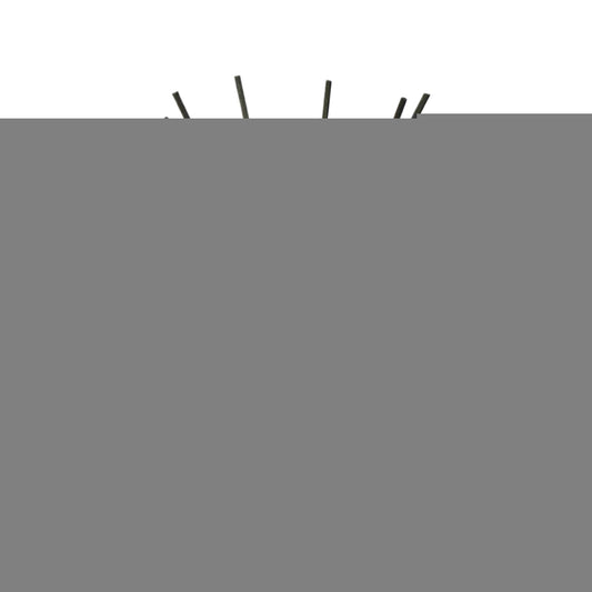 Ernesto Reed Diffuser 350ml -