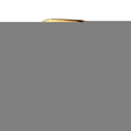 Lady Million 50ml Eau de Parfum