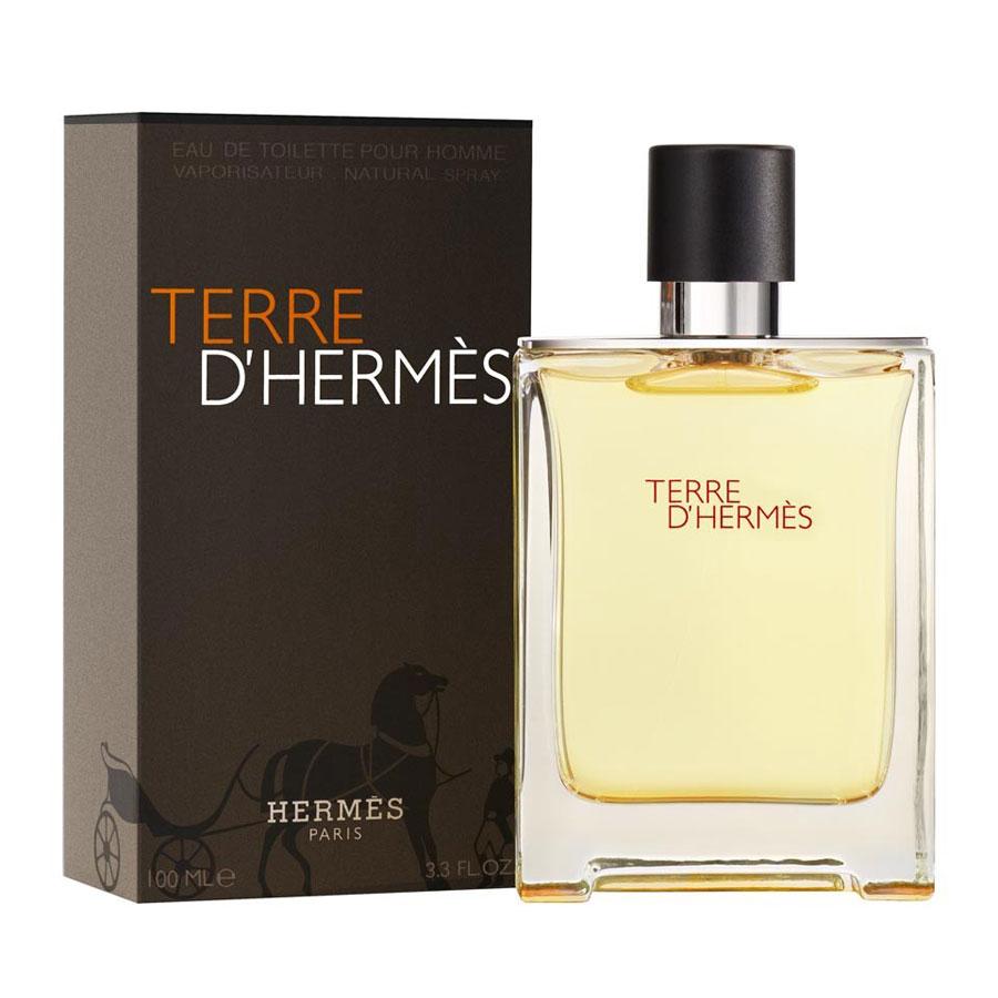 Terre D'Hermes 100ml Eau de Toilette