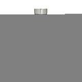 Just Just Cavalli 50ml Eau de Toilette