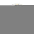 Tempting 100ml Eau de Parfum