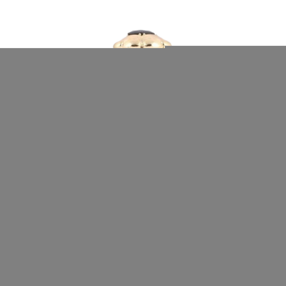 Noble Oud 100ml Eau de Parfum