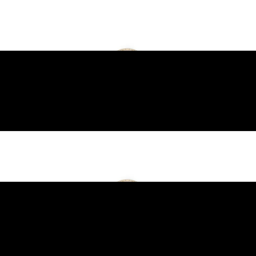 Erolfa 100ml Eau de Parfum