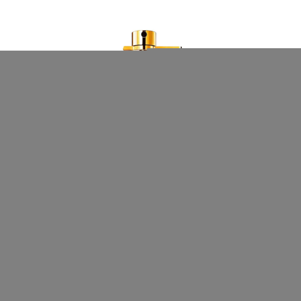 Dark Purple 100ml Eau de Parfum