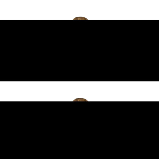 Champagne Black 100ml Eau De Parfum