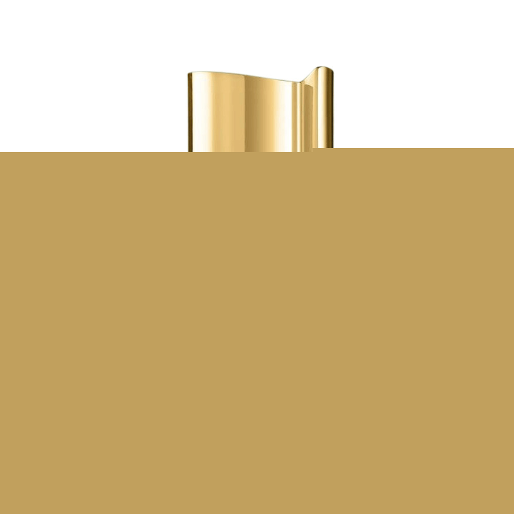 Ani 100ml Eau De Parfum