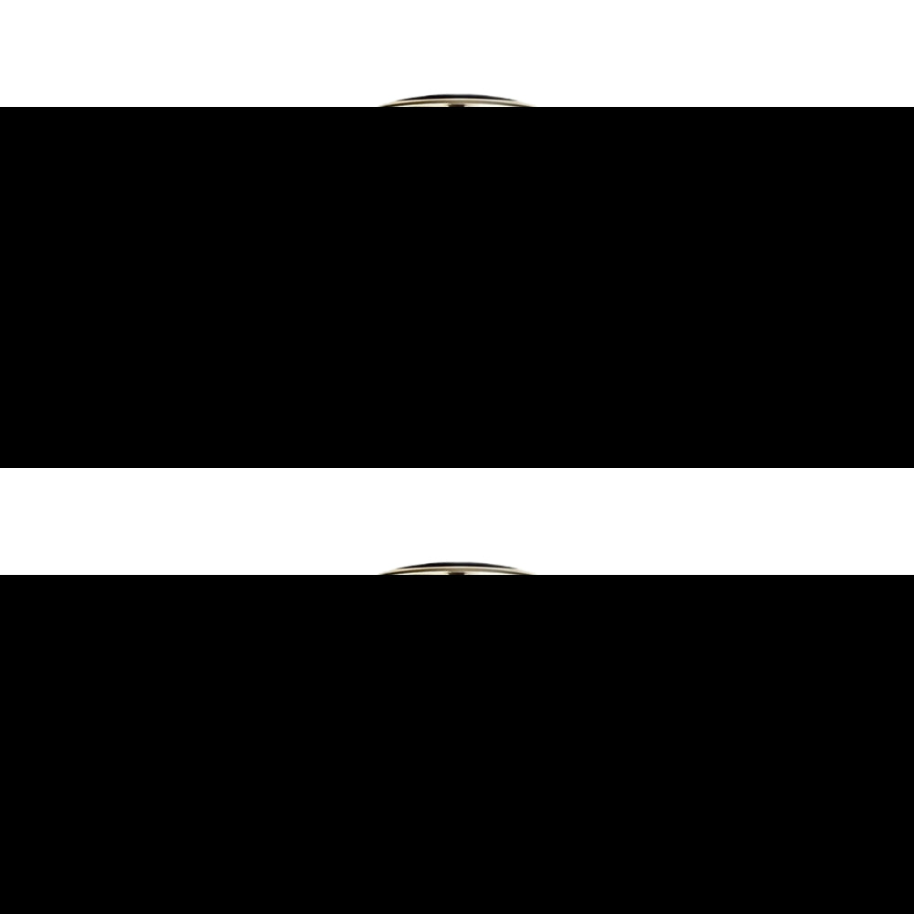 Bottled Triumph Elixir 100ml Eau De Parfum