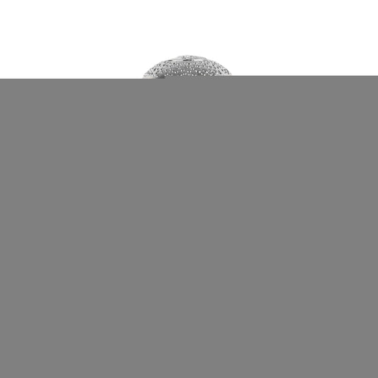 Pride Al Ameed Silver 100ml Eau De Parfum