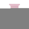 Rose Prick 100ml Eau de Parfum