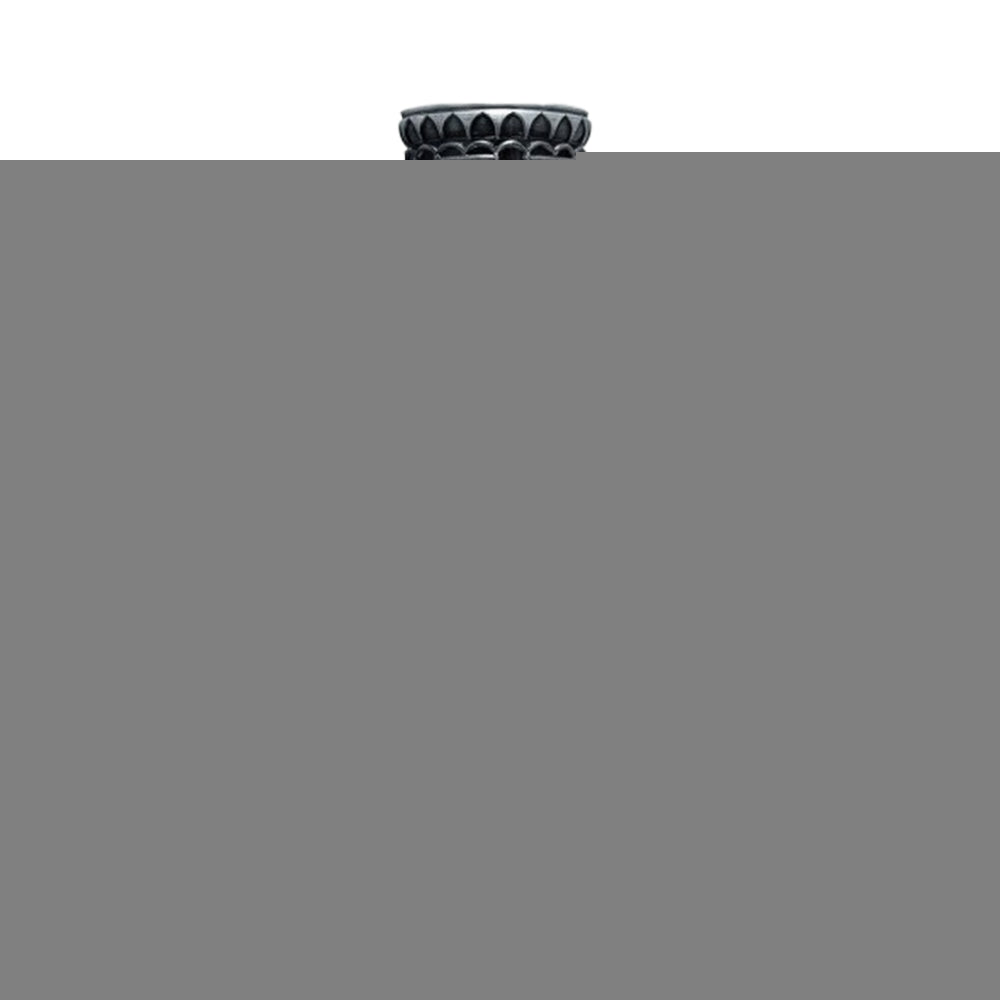 Pisa 100ml Eau De Parfum