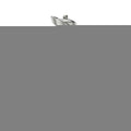 Lionora 100ml EXTRAIT