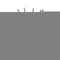 Ernesto Reed Diffuser 350ml -