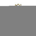 Princess Tester 100ml Eau de Toilette