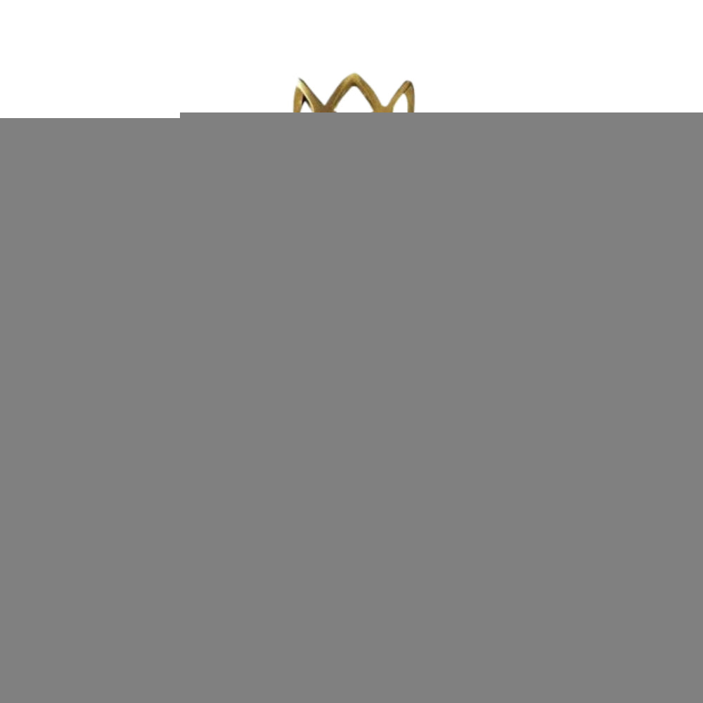 Princess Tester 100ml Eau de Toilette